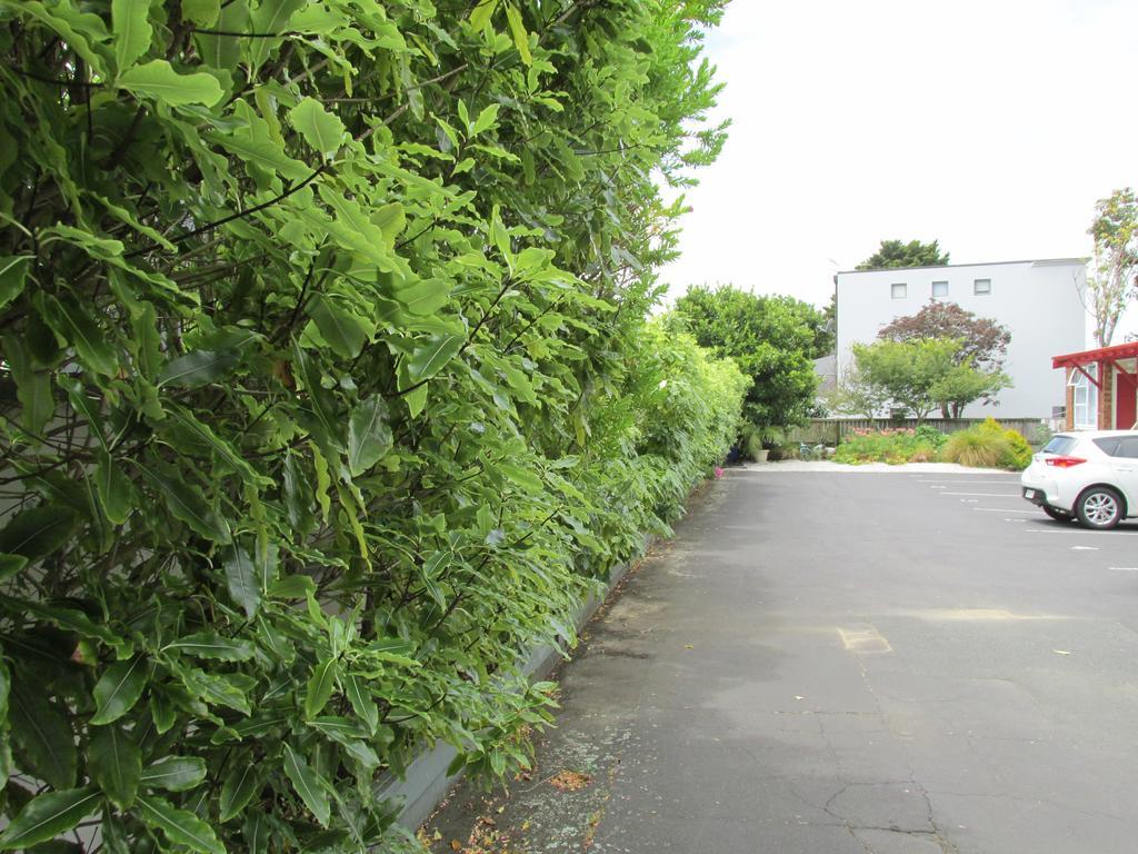 Dilworth Motel Auckland Dış mekan fotoğraf
